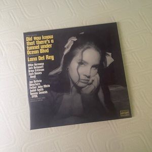 did you know that there’s a tunnel under ocean blvd lana del rey vinyl